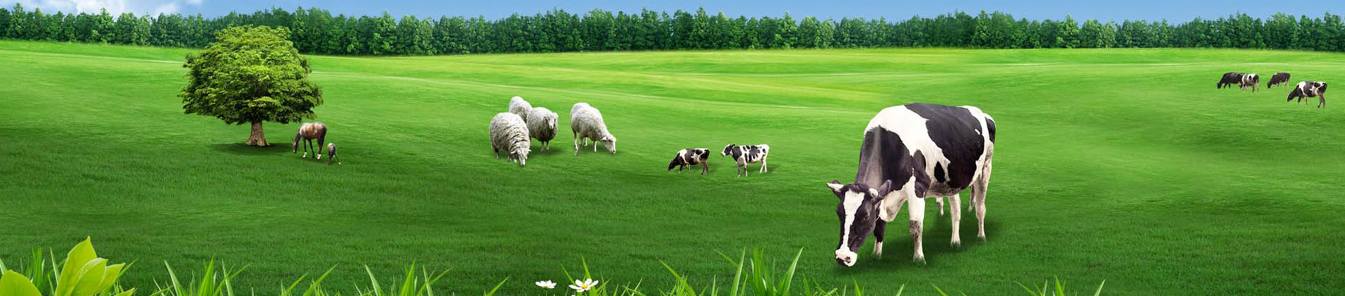 北京欣源佳和生物科技有限公司